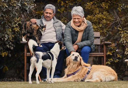 Dog at veterinary clinic in ColoradoSprings
